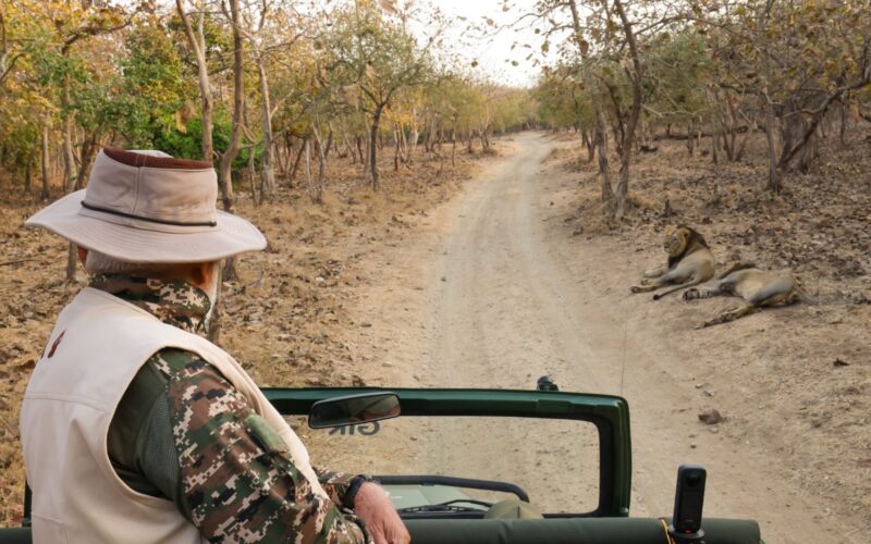 Collective efforts have ensured that the population of Asiatic Lions is rising steadily: PM