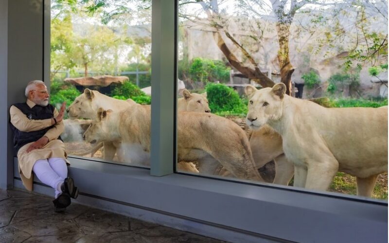 प्रधानमंत्री ने किया रिलायंस ग्रुप के पशु संरक्षण केंद्र ‘वनतारा’ का उद्घाटन