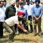 NHAI Celebrates World Environment Day with Tree Plantation Drive in Amritsar; 300 Trees Planted under “Ek Ped Maa Ke Naam 2.0” Initiative