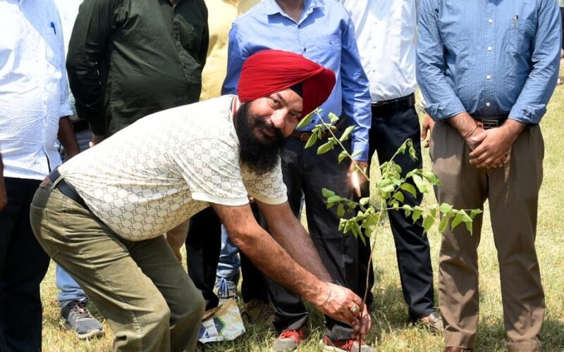 NHAI Celebrates World Environment Day with Tree Plantation Drive in Amritsar; 300 Trees Planted under “Ek Ped Maa Ke Naam 2.0” Initiative