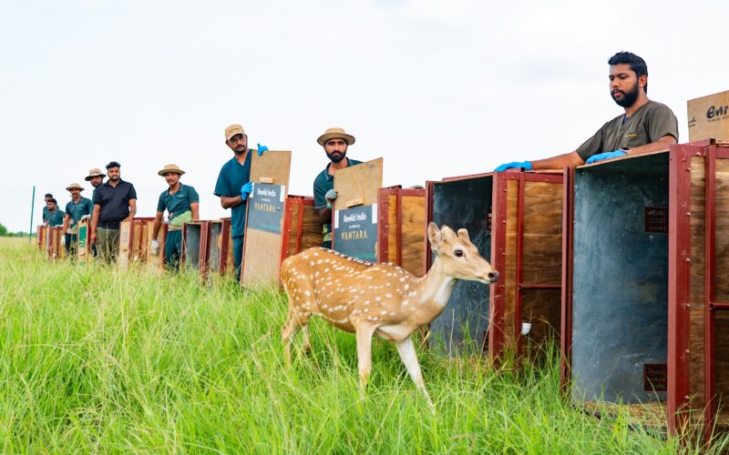 SC-Appointed SIT Gives Clean Chit to Vantara in Jamnagar: Compliance and Conservation at Core