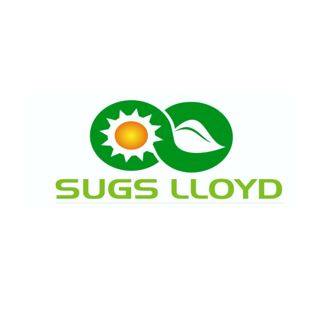 Sugs Lloyd IPO Sees Muted Response, Subscribed 0.50 Times on Day 4