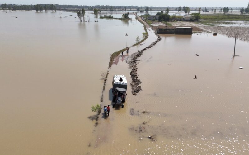 Reliance’s flood response in Punjab intensifies, initiative flagged off in Kapurthala