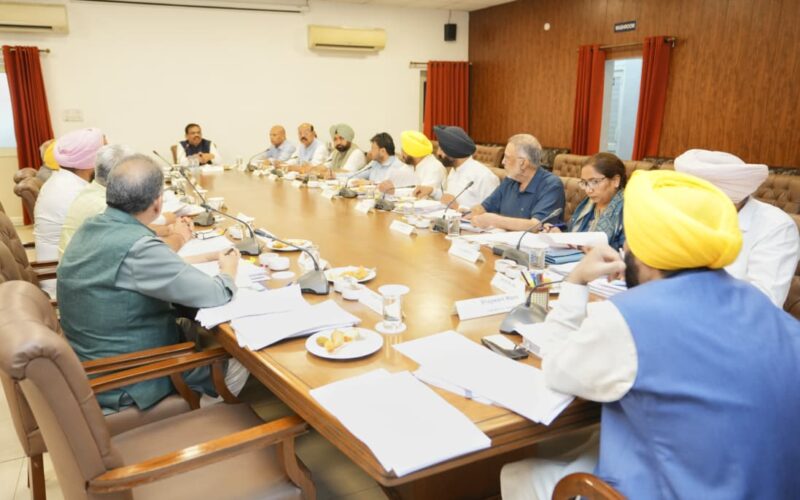 Punjab Cabinet Clears Key Industrial and Commercial Reforms, Launches One Time Settlement Schemes to Boost Economy