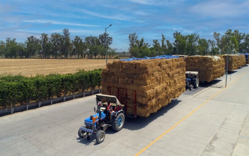 SAEL to Procure 20 Lakh Tonnes of Paddy Stubble this Season Via Aggregator