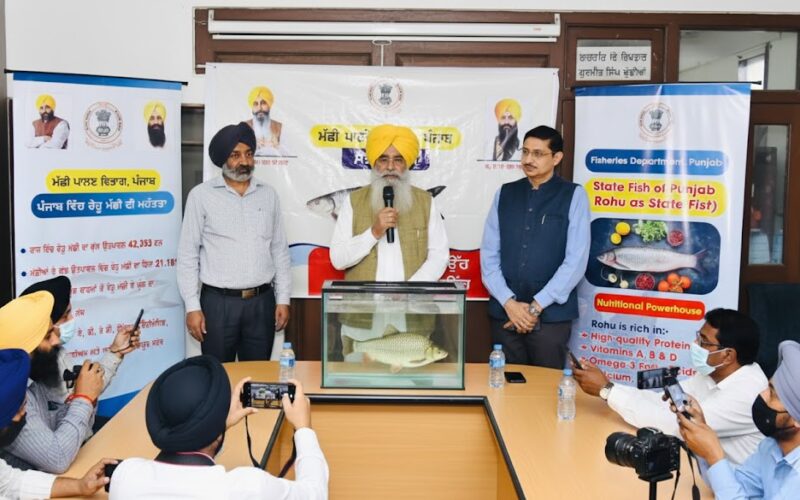 Punjab Declares “Rohu” as State Fish to Boost Aquatic Biodiversity