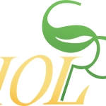 IOL Chemicals Reports 56.7% YoY Profit Surge in Q2 FY26, Driven by Operational Efficiency and Non-Ibuprofen APIs